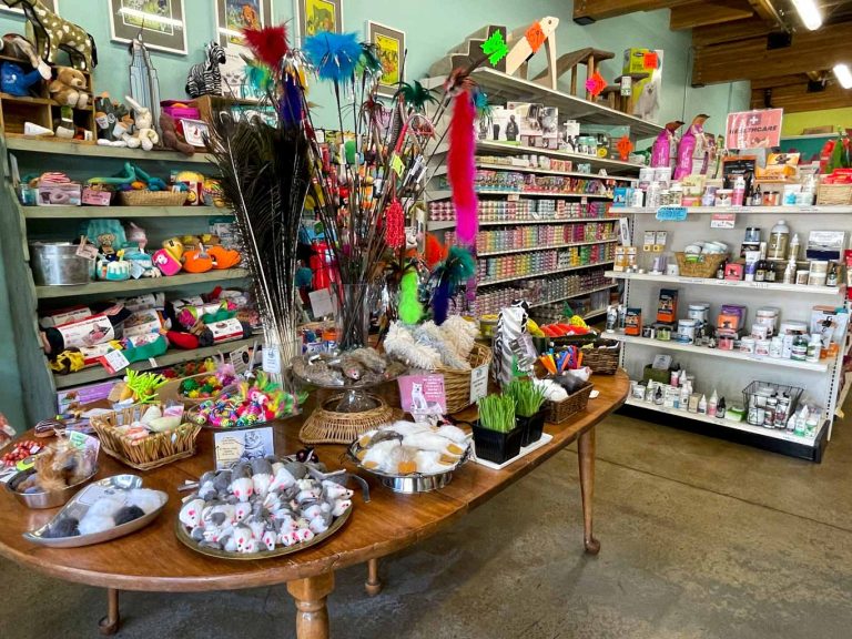 Inside Salty"s pet store